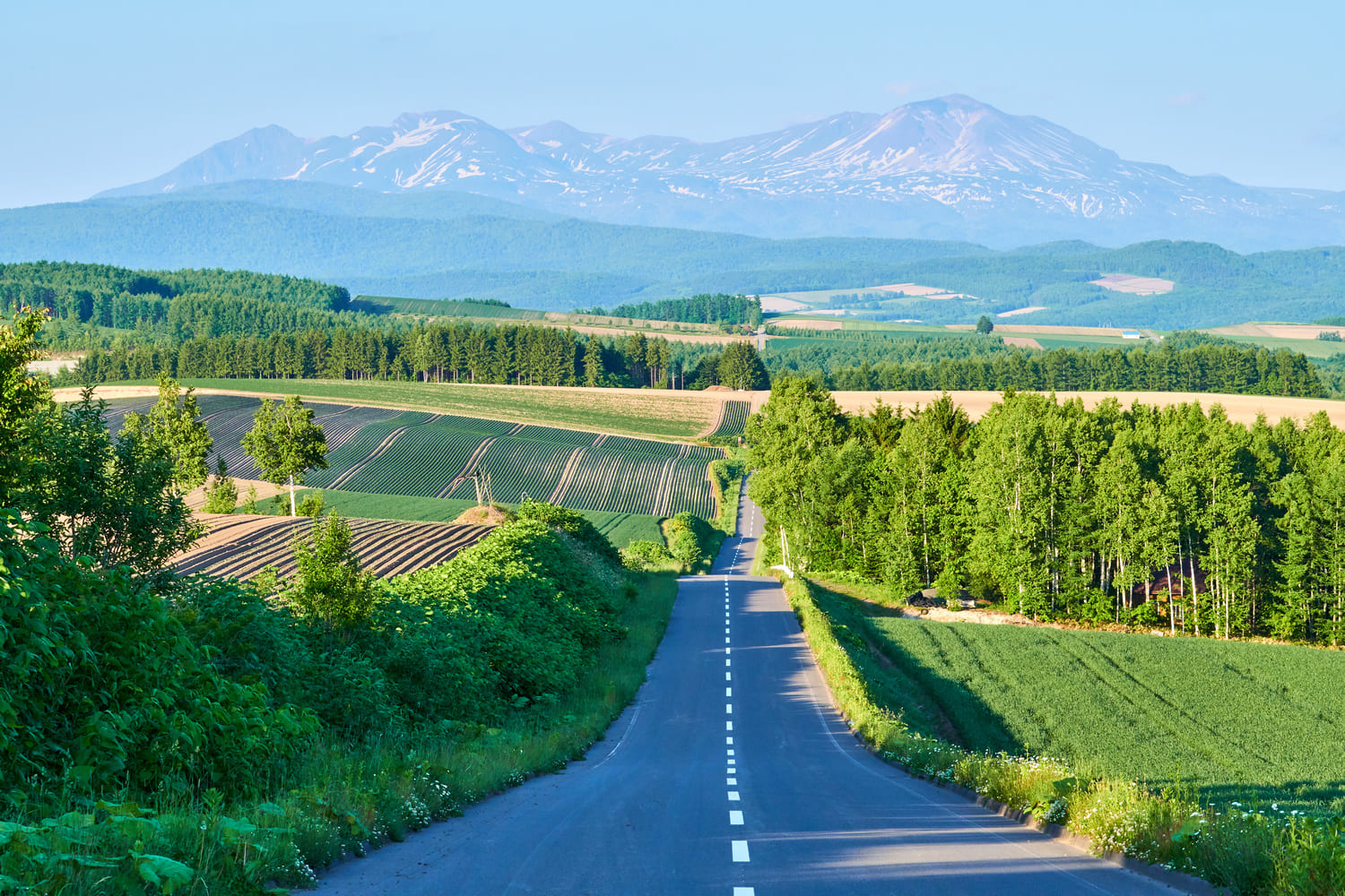広大な北海道イメージ①